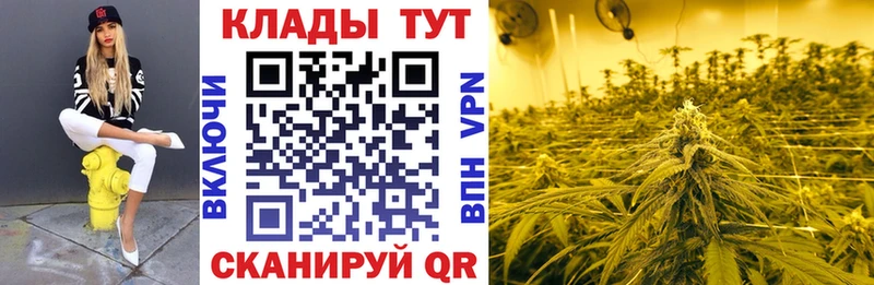 Какие есть наркотики Светлый Конопля  ГЕРОИН  ГАШ  Альфа ПВП  МЕФ  Кокаин 