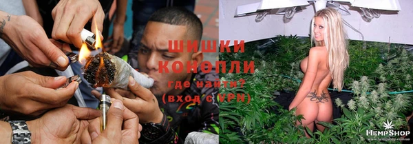 стафф Аркадак