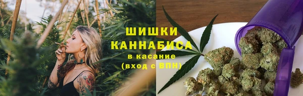 стафф Аркадак